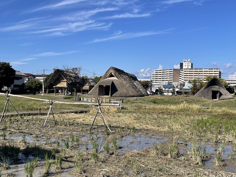 登呂遺跡