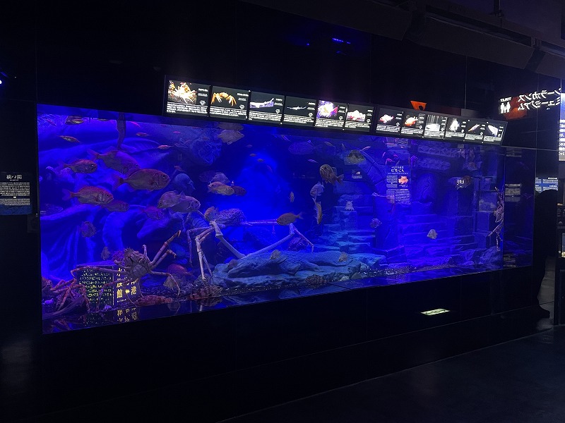 沼津港深海水族館