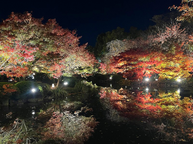 東寺 ライトアップ