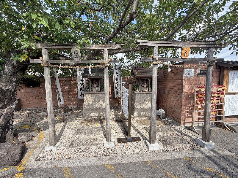 たま神社