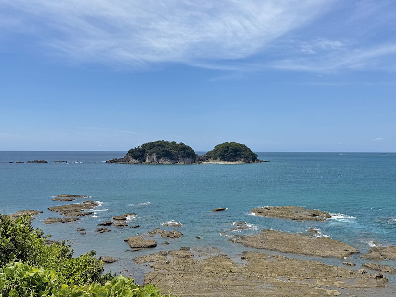 埴田崎