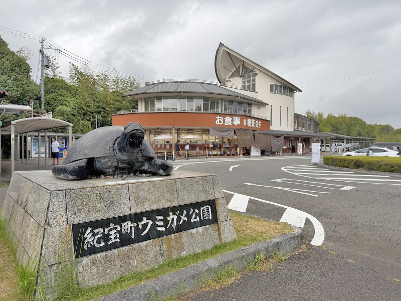 紀宝町ウミガメ公園