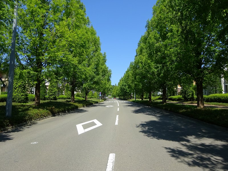 泉パークタウン