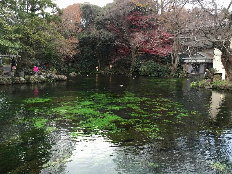 湧玉池