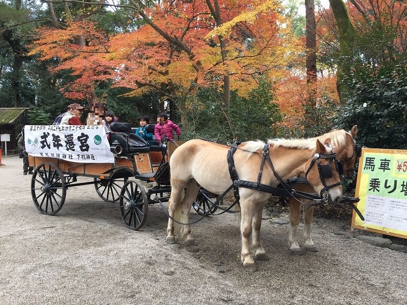 糺の森 馬車