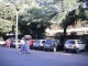 Suzuki's Maruti parking in the Lodi Garden